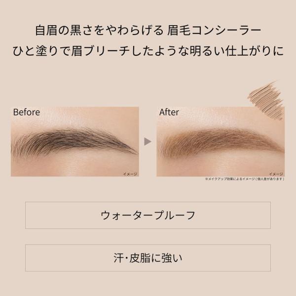 エテュセ アイエディション (ブロウコンシーラー)