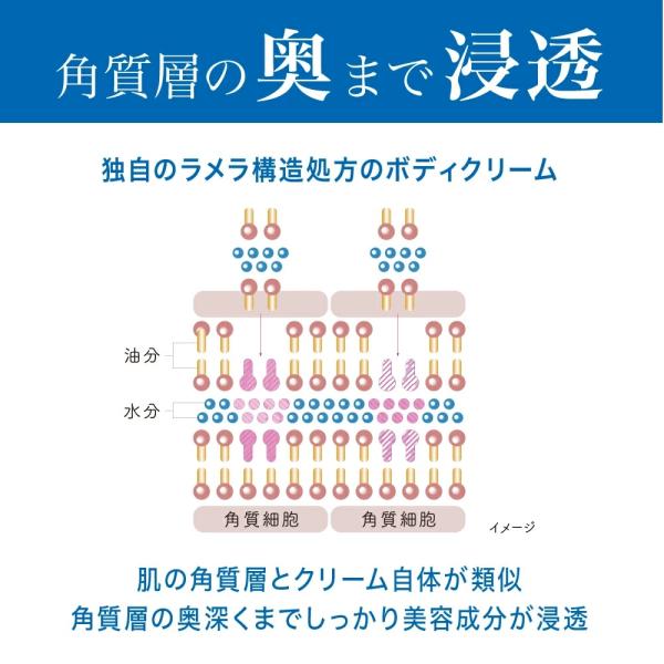 スキンコットン　濃厚リペア　ボディクリーム(コットンサボンの香り)