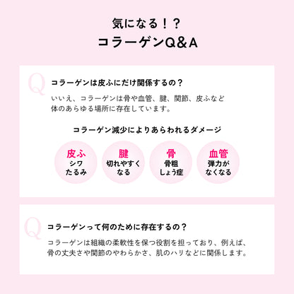 ザ・コラーゲン ビューティーゼリー　１５本