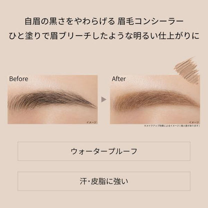 エテュセ アイエディション　(ブロウコンシーラー)