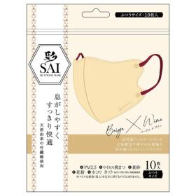 彩立体マスク　10枚