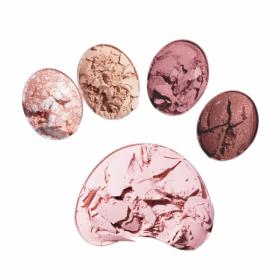 【社販限定】MilleFée ミャオパウズアイシャドウパレット