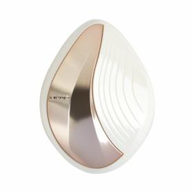 KINUJO Silky jewel brush JBK01
