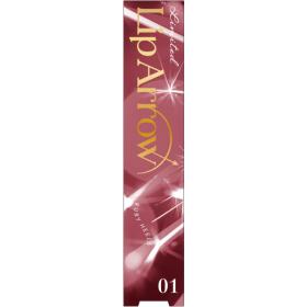 【社販限定】キス　リップアローX(限定品)