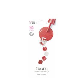 EDGEU　フット　22枚入り